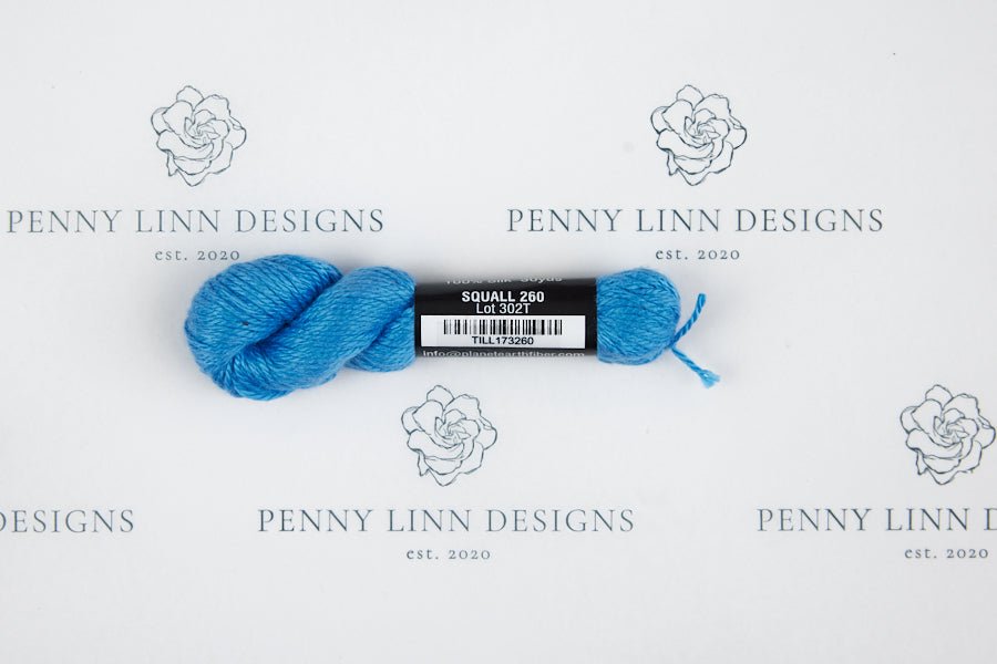 Pepper Pot Silk 260 SQUALL - Penny Linn Designs - Planet Earth Fibers